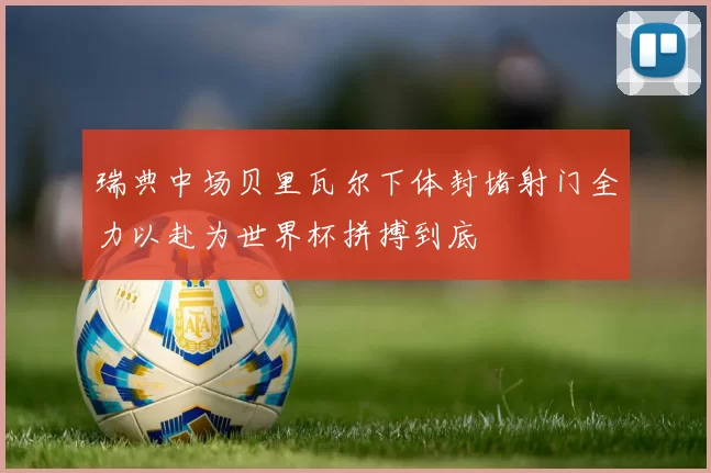 瑞典中场贝里瓦尔下体封堵射门全力以赴为世界杯拼搏到底