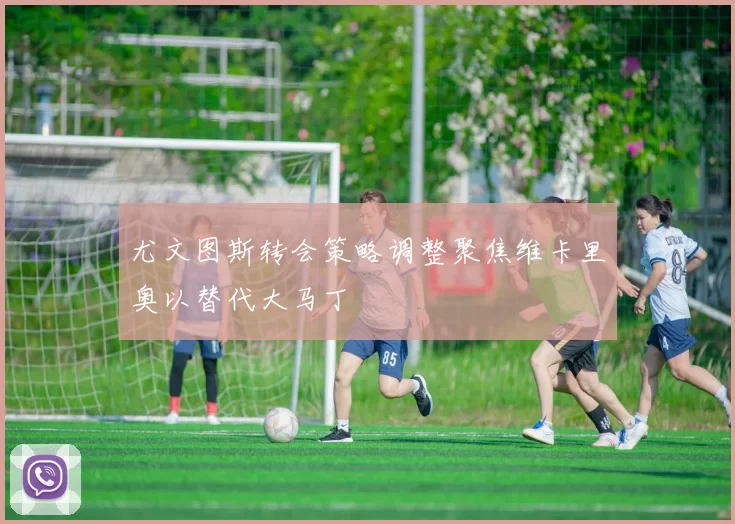 尤文图斯转会策略调整聚焦维卡里奥以替代大马丁